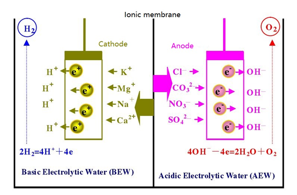 Weakly alkaline electrolyzed water